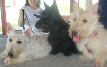 Hayley, Fiona and Kayley (Nixon) 